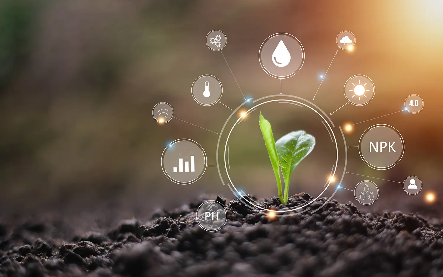 agricultural growth concept It has both the benefits of soil and plants. Including the use of artificial intelligence agriculture technology in smart farms for seed and crop tracking, 5G Industry 4.0 technology that needs to be improved. ai smart farming and precise agriculture
